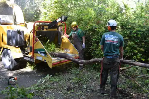 tree services Norco